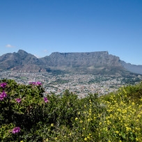 Table Mountain-0094.jpg