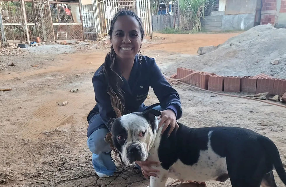 Benefícios da consulta veterinária em domicílio