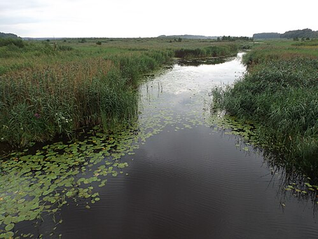 Songs of the Kääpa river