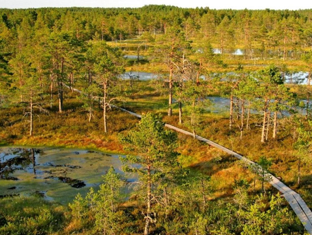 Estonia's first national park