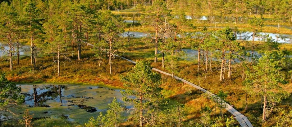 Estonia's first national park