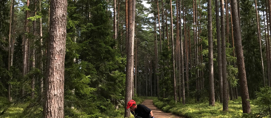 Soul of Estonia