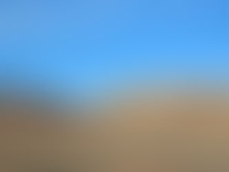 On the edge of the Sahara desert