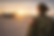 Recrutement en cours / Ongoing recruitment