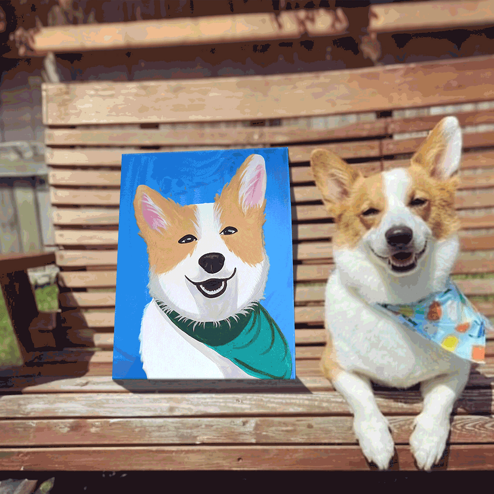Paint Your Pet