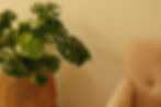 DSCF0018.JPG