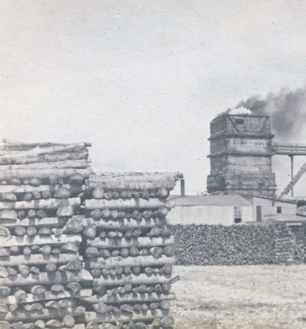 kilns_in_operation_with_wood_pile.JPG