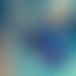 The Truth About Betta Glass Surfing