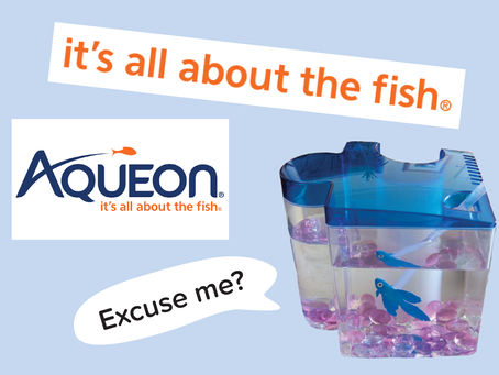 Aqueon's harmful betta fish tanks