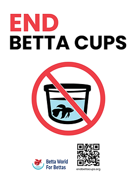 End Betta Cups flyer.png