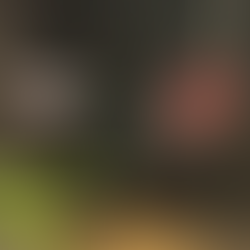 Conversation with Amy at The Pet Works, Olympia WA