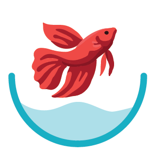 Writer: bettaworldforbettas