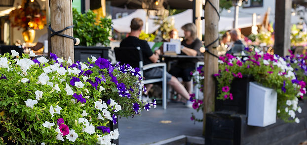 bloemen terras.jpg