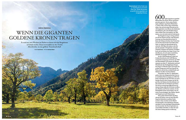 AT_Kaesemacher_text [P];8_View-1.jpg