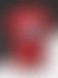 100% cotton round neck T Shirts with your logo Print