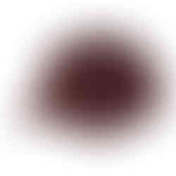 Customized Caps /Pack Of 10pcs / Each One 199/- Only ,100%Cotton