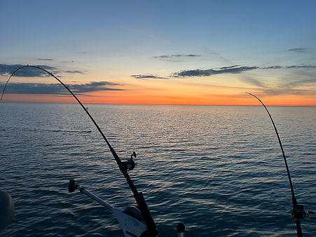 IMG_2357.jpg