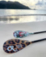 Pagaie - Outside Reef - Pop - Carbon - 620cm2 - SUP - Downwind