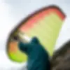 ENSIS - WING - DOUBLE ACE - RACE