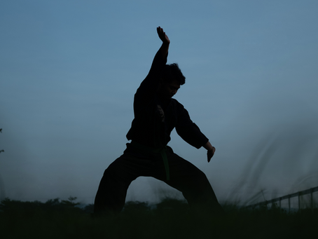 Layton Duong: Chinese Performing Arts Champion 