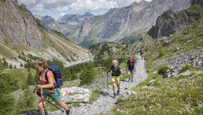 Van idee naar innovatie. SNP Natuurreizen plukt de vruchten van een jaar aan innovatie