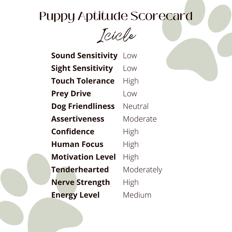 Thumbnail: Icicle - Male