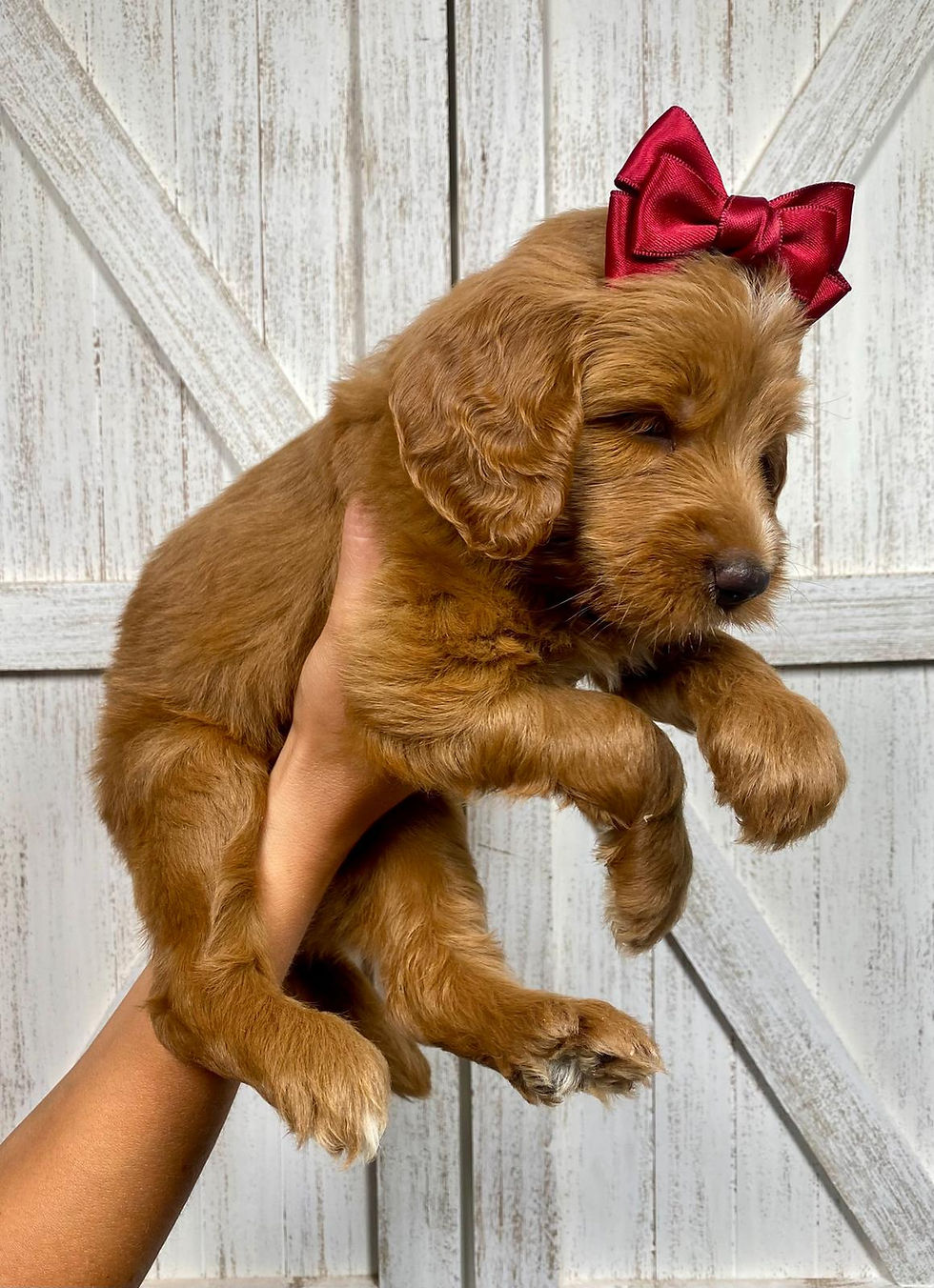 Thumbnail: Patriot (Female)