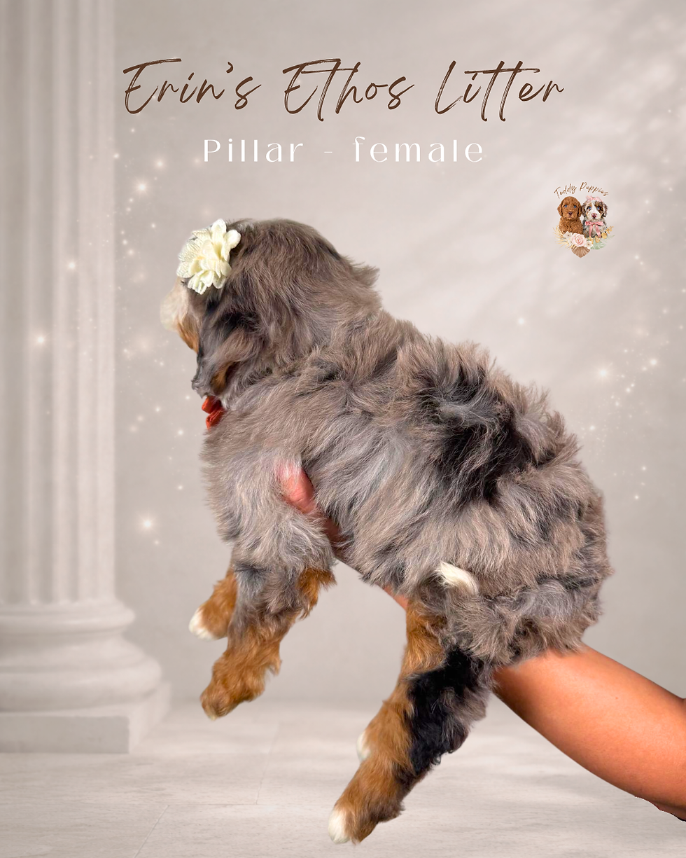 Thumbnail: Pillar - female