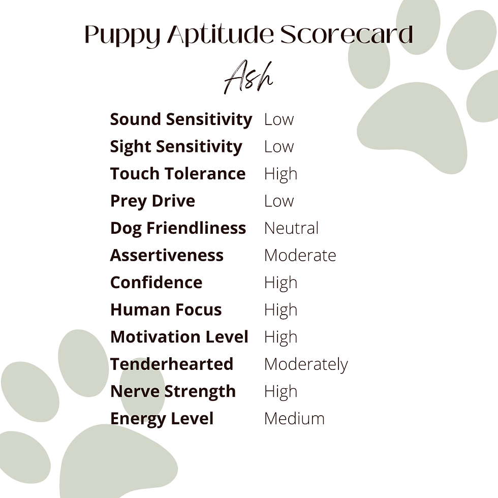 Thumbnail: Ash (male)