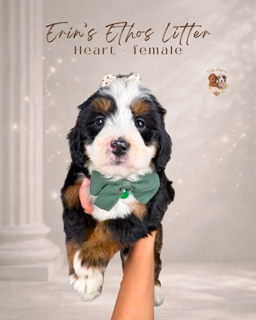 Heart - female
