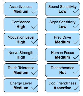 Thumbnail: Candy - Female