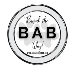 BAB Puppy Evaluation & Score Interpretations