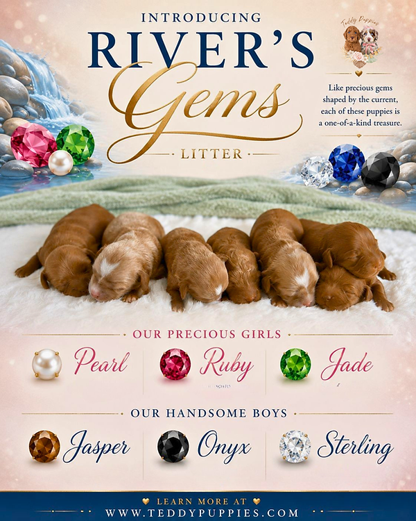 About the Breeder (5).png