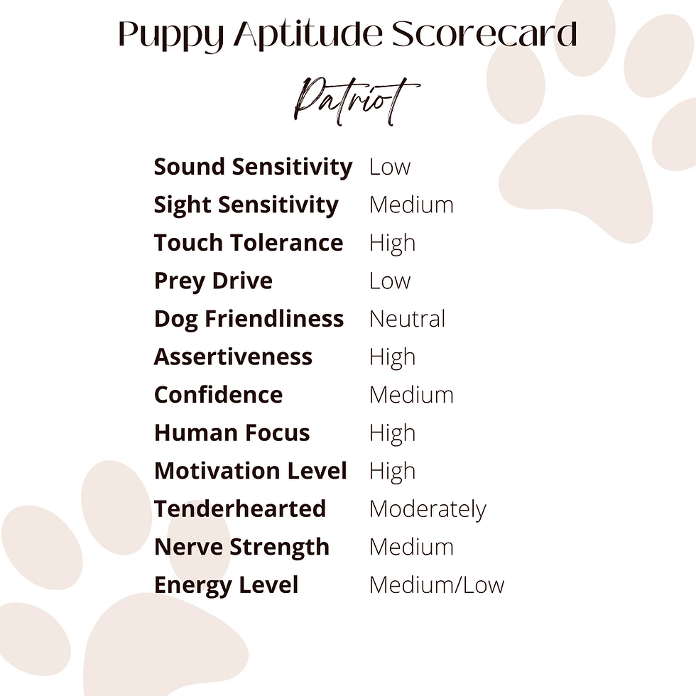 Thumbnail: Patriot (Female)