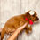Thumbnail: Sandy (female)