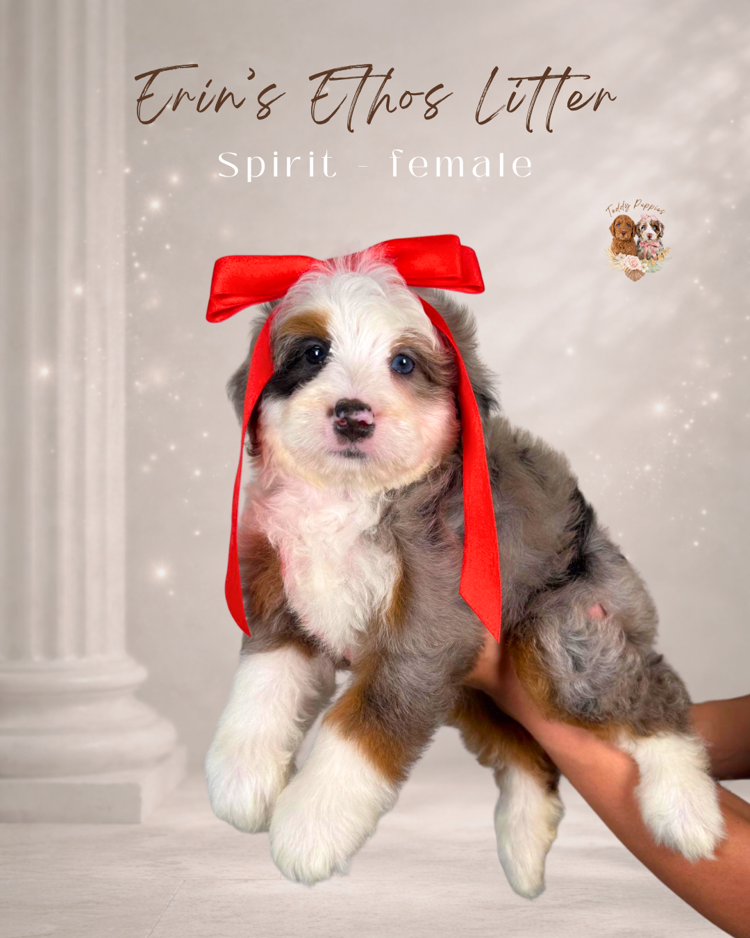 Spirit - female