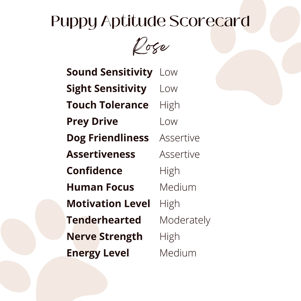 Thumbnail: Rose (female)