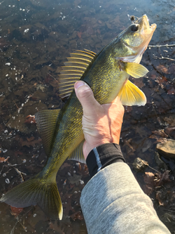 Youghiogheny River