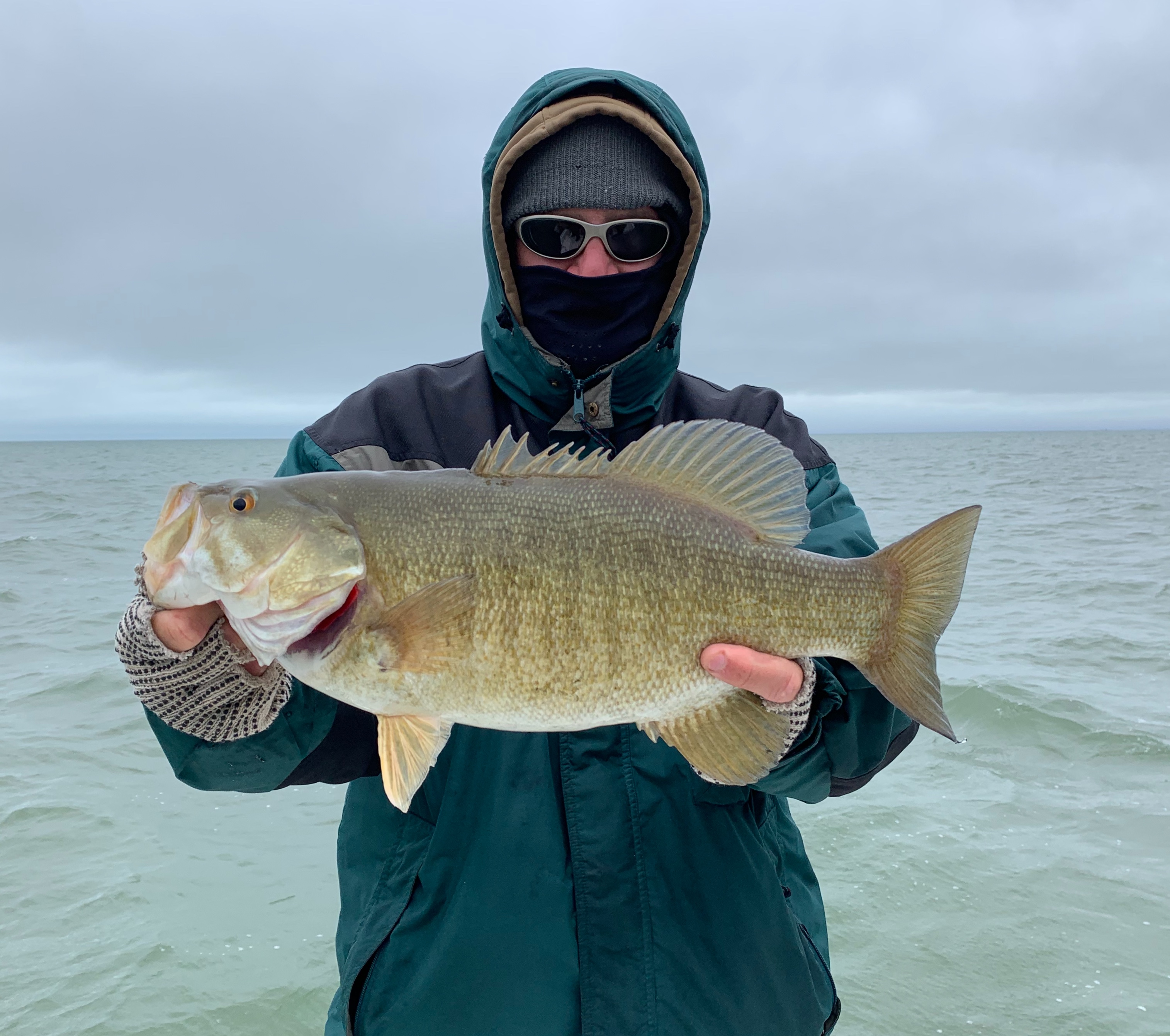2019 Lake St Clair