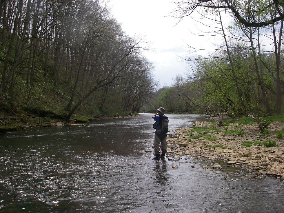 Youghiogheny