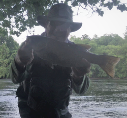 Youghiogheny River