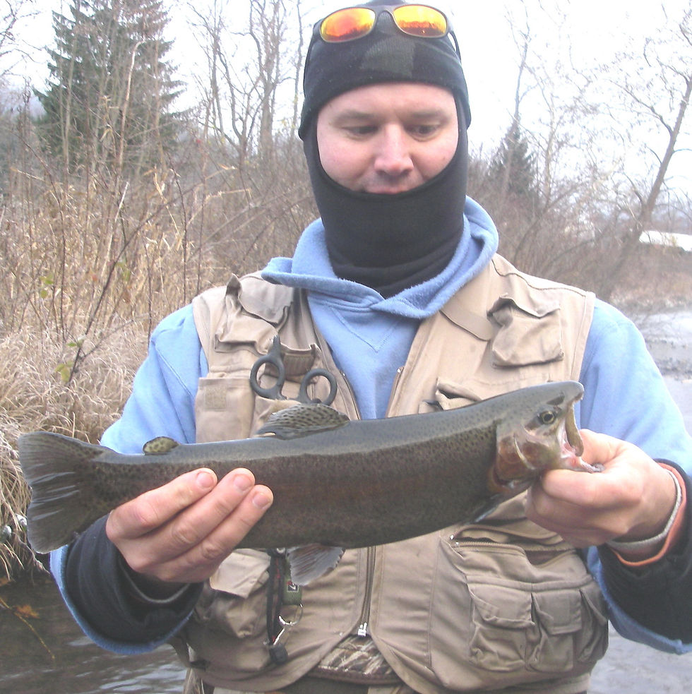 Youghiogheny