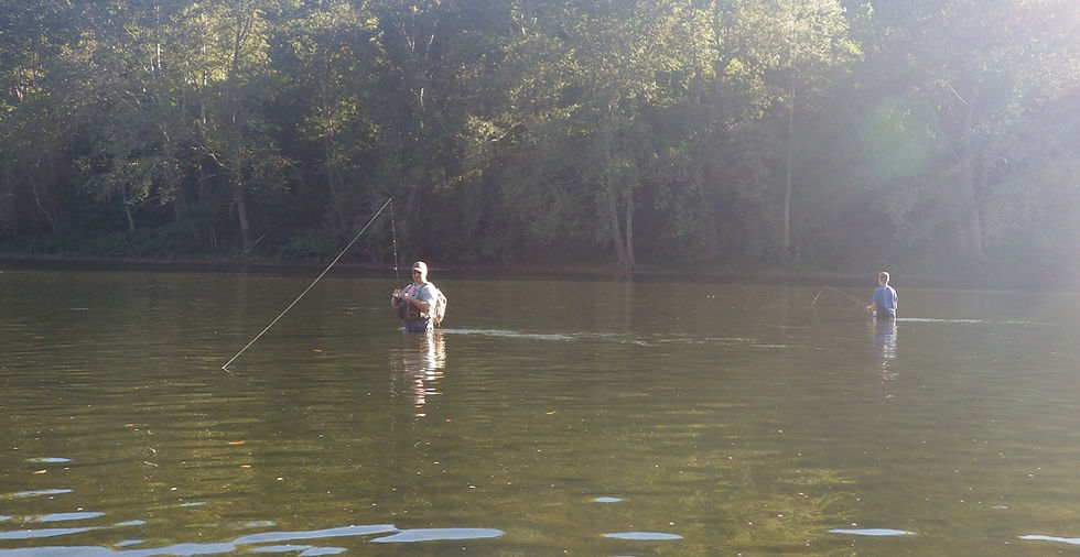 Youghiogheny