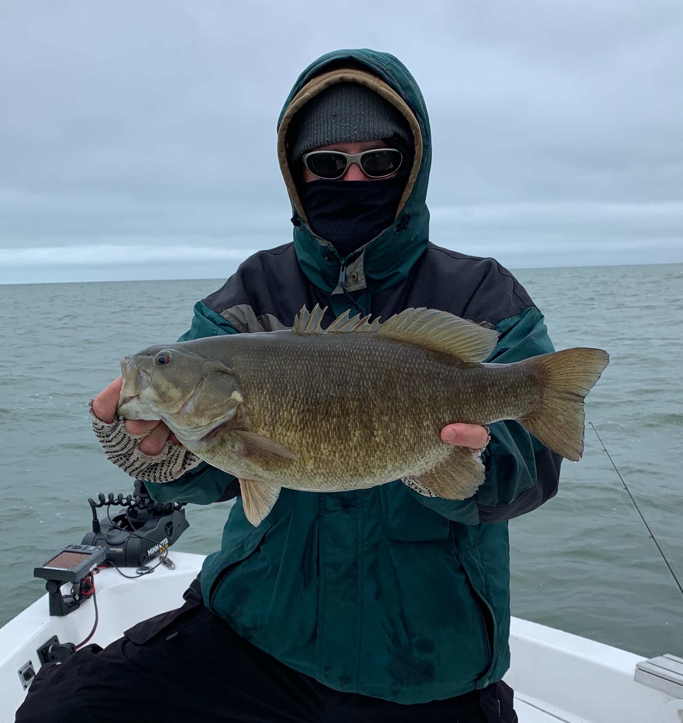 2019 Lake St Clair