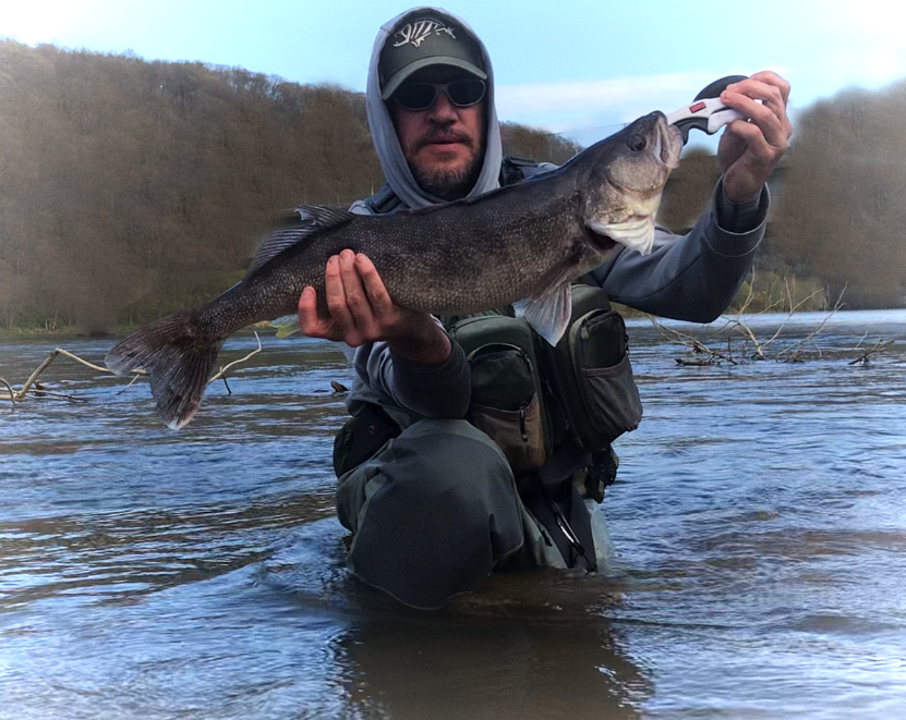 Allegheny River