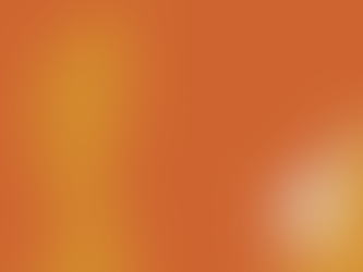 Nr. 14 - The Power of Community – When Strangers Become Friends