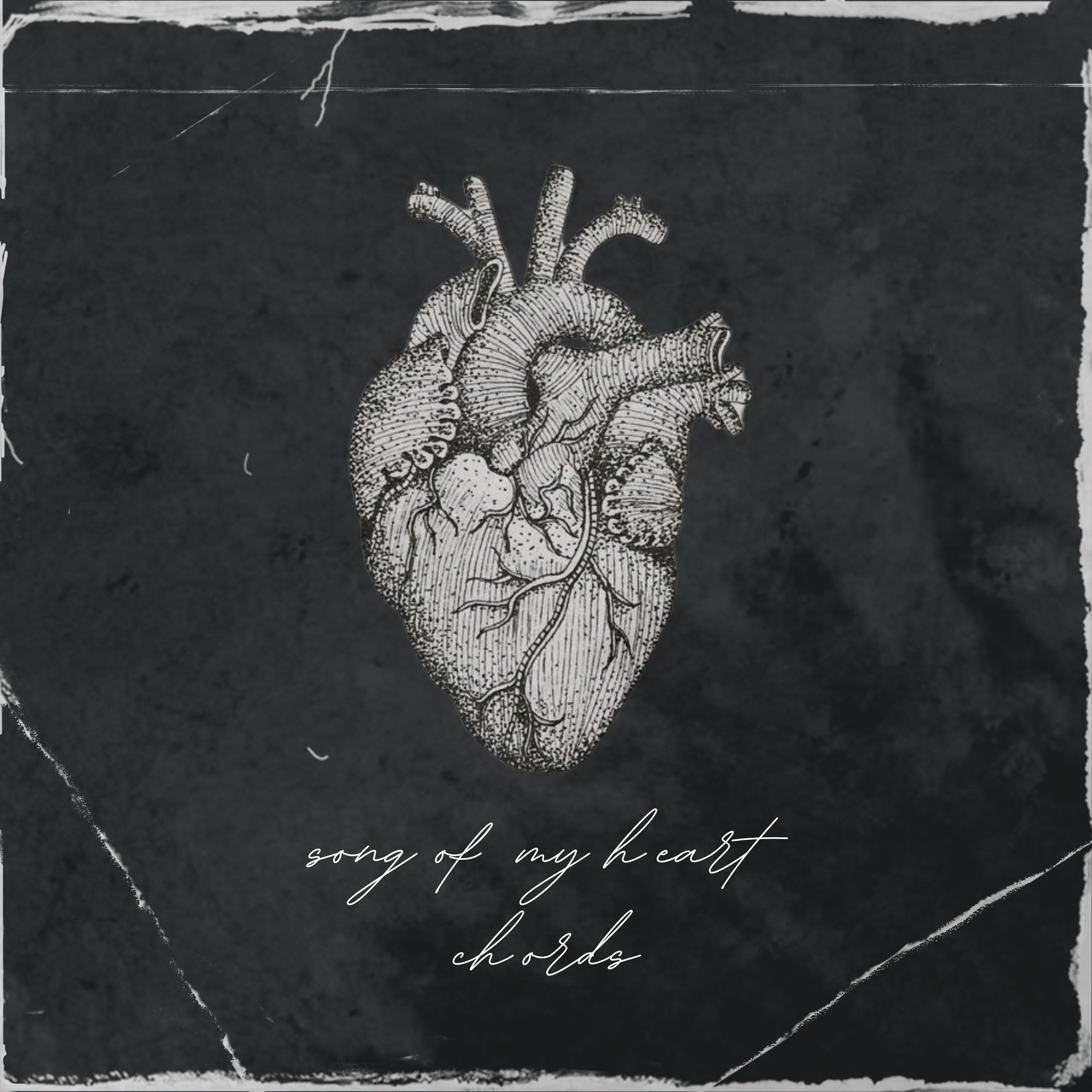 Song of My Heart Chord Charts