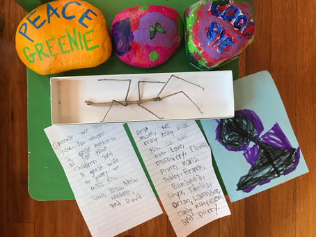 Essay: Funeral for a Stick Bug