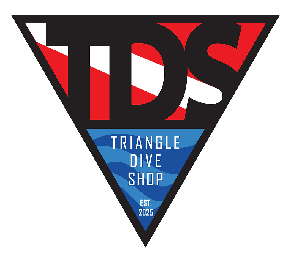 TDS Final Full Color - white border.png