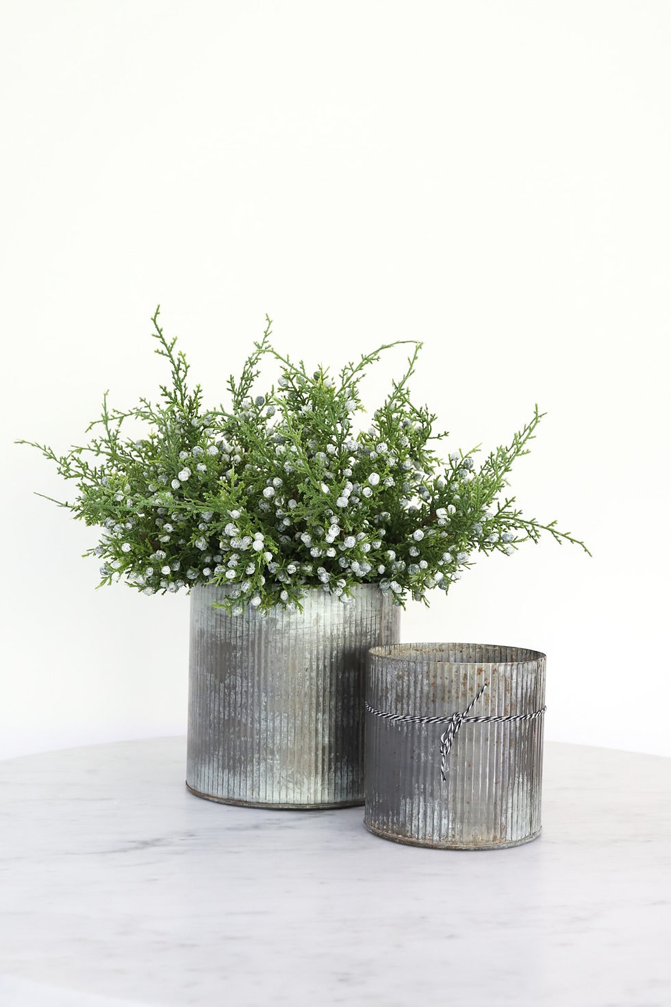 Thumbnail: Corrugated Zinc Pail